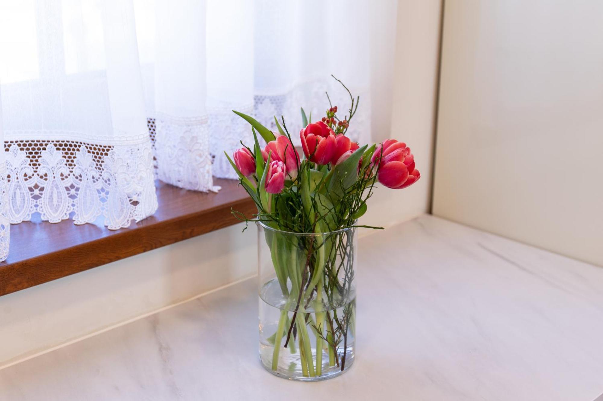 Superior Apartments Vito Bled Ngoại thất bức ảnh